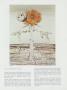 Page: - 35 | Architectural Digest