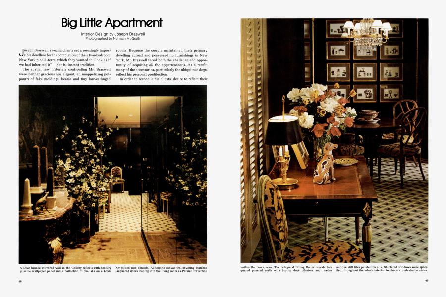Big Little Apartment