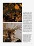 Page: - 123 | Architectural Digest