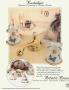 Page: - 6 | Architectural Digest