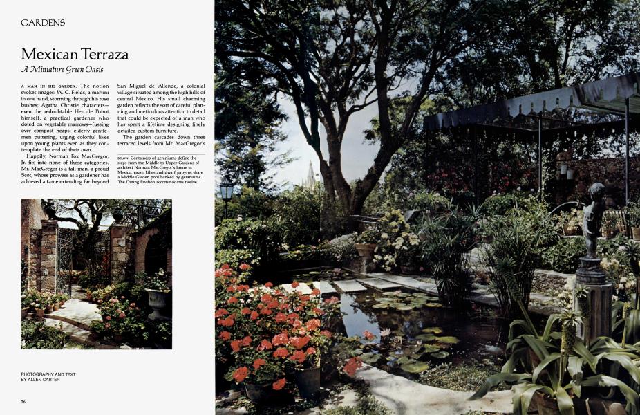 Mexican Terraza