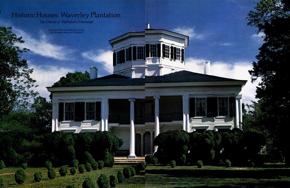 Historic Houses: Waverley Plantation