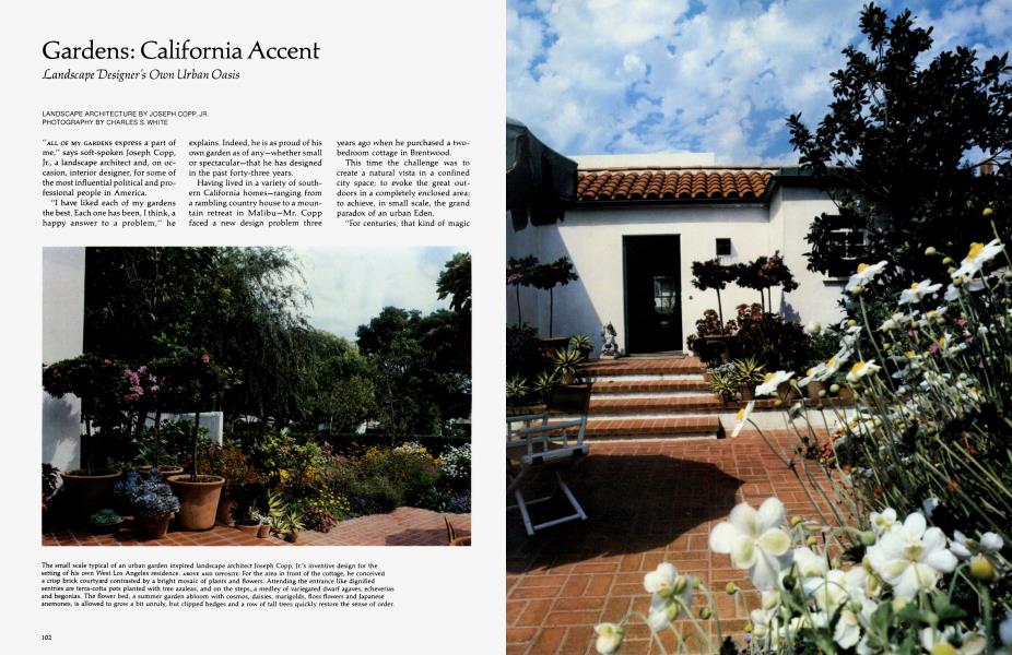 Gardens: California Accent
