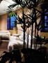 Page: - 53 | Architectural Digest