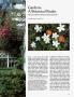 Page: - 123 | Architectural Digest