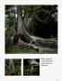 Page: - 125 | Architectural Digest