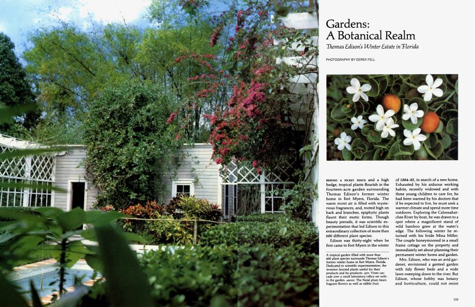 Gardens: A Botanical Realm