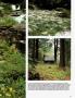 Page: - 111 | Architectural Digest