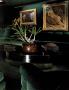 Page: - 119 | Architectural Digest
