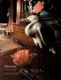 Page: - 67 | Architectural Digest