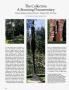 Page: - 138 | Architectural Digest