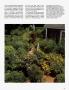 Page: - 161 | Architectural Digest