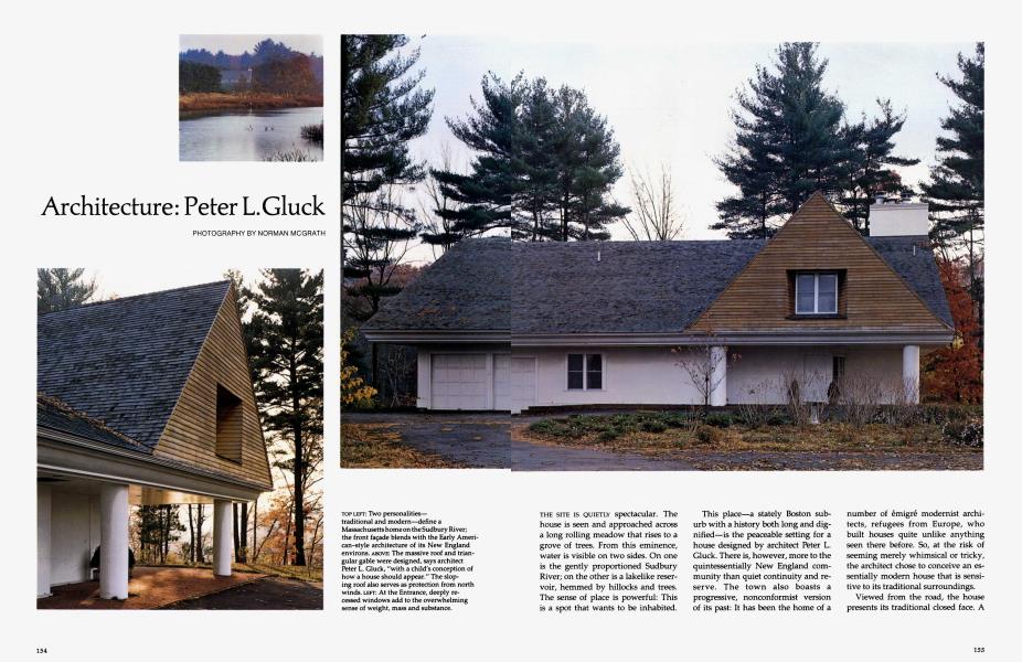 Architecture: Peter L.Gluck