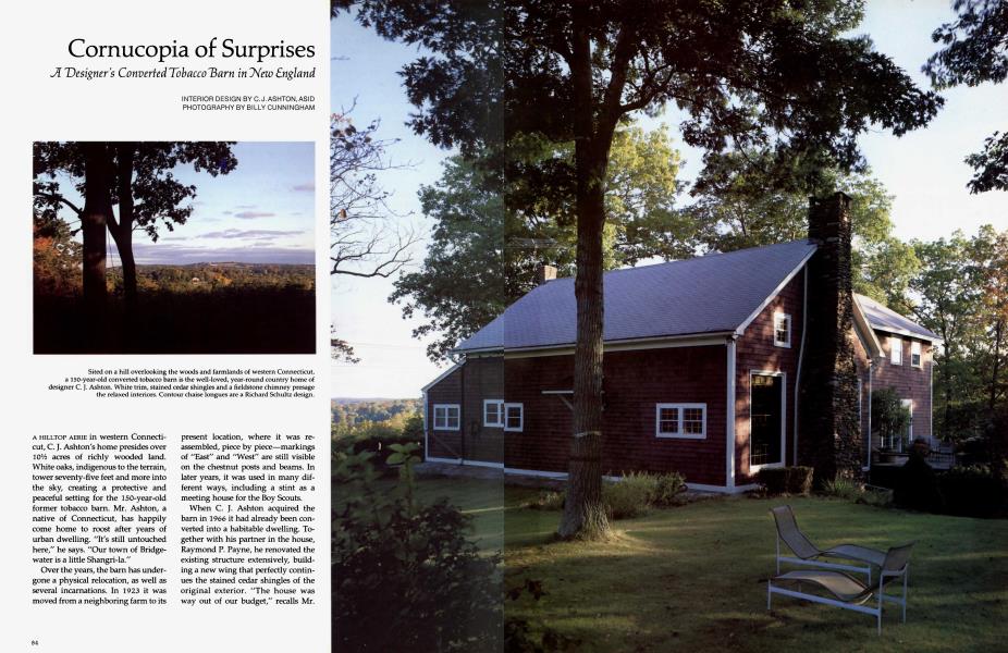 Cornucopia of Surprises