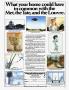 Page: - 53 | Architectural Digest