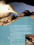 Page: - 30 | Architectural Digest