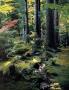 Page: - 167 | Architectural Digest