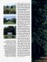 Page: - 116 | Architectural Digest