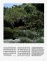 Page: - 165 | Architectural Digest