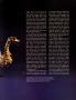 Page: - 221 | Architectural Digest