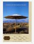 Page: - 31 | Architectural Digest