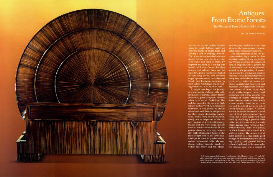 Antiques: From Exotic Forests