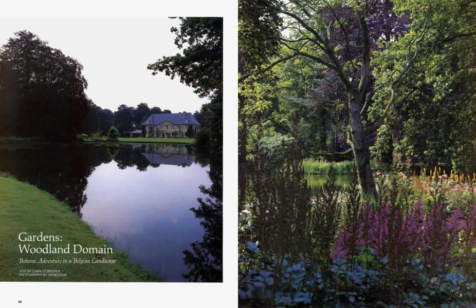 Gardens: Woodland Domain