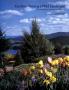 Page: - 146 | Architectural Digest