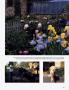 Page: - 101 | Architectural Digest