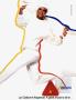 Page: - 7 | Architectural Digest