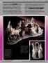 Page: - 64L | Architectural Digest