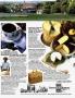 Page: - 33 | Architectural Digest