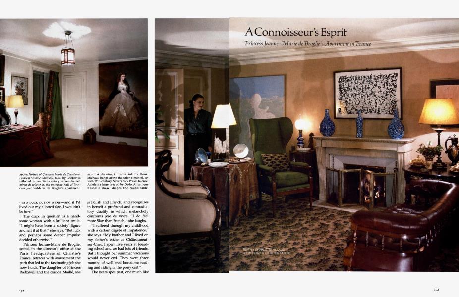 A Connoisseur's Esprit