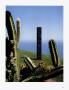 Page: - 101 | Architectural Digest