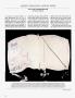 Page: - 40 | Architectural Digest