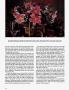 Page: - 142 | Architectural Digest