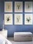 Page: - 151 | Architectural Digest