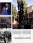 Page: - 216 | Architectural Digest