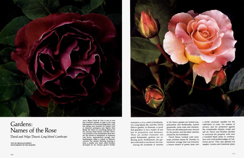 Names of the Rose | Architectural Digest | JULY 1988