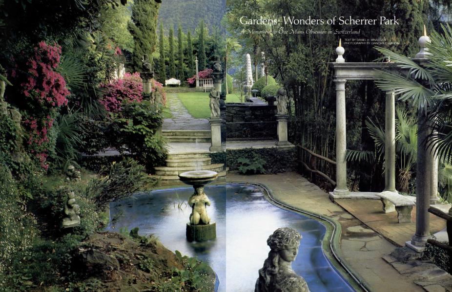Wonders of Scherrer Park