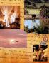 Page: - 26 | Architectural Digest