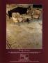Page: - c19 | Architectural Digest