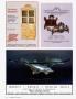 Page: - c26 | Architectural Digest