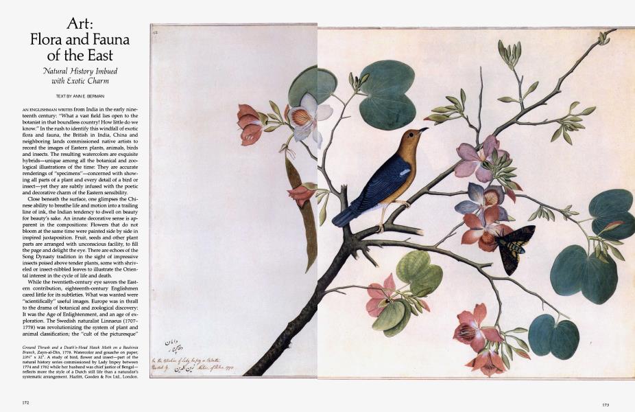Flora and Fauna of the East