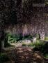 Page: - 206 | Architectural Digest
