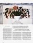 Page: - 144 | Architectural Digest