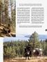 Page: - 127 | Architectural Digest