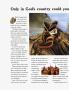 Page: - 84 | Architectural Digest