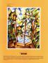 Page: - 11 | Architectural Digest