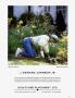 Page: - 59 | Architectural Digest